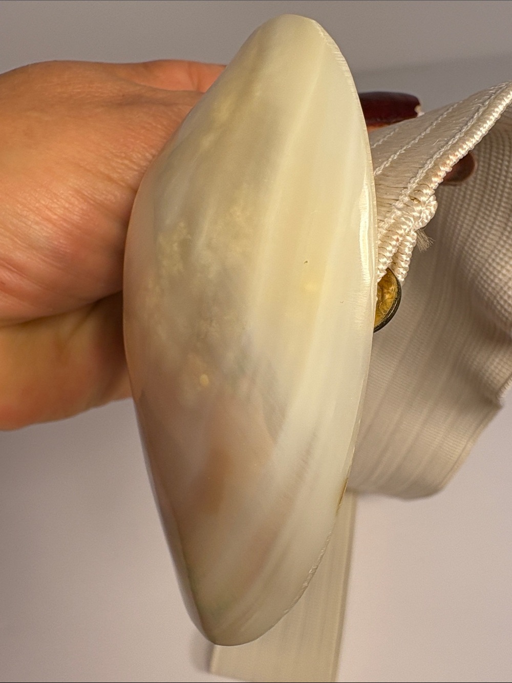 Vintage Abalone Pearlescent Shell Accent Stretch Waist Belt - Cream - Picture 9 of 11